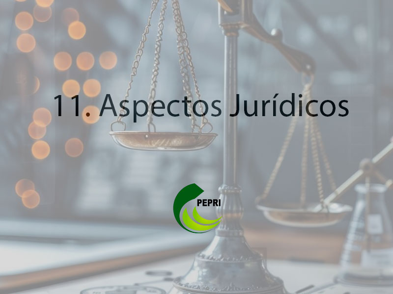 11. Aspectos Jurídicos