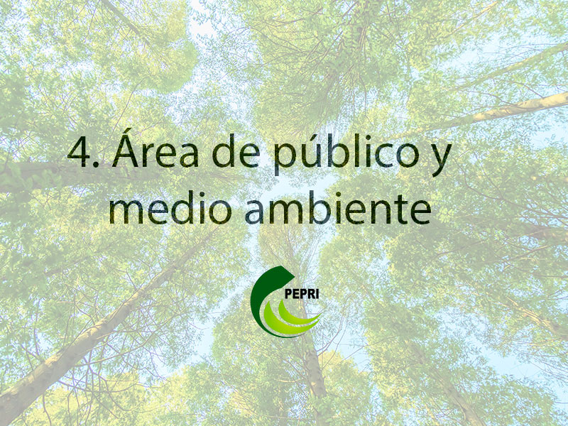4. Área de público y medio ambiente
